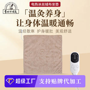 Coussin chauffant électrique Li Shizhen Guoji Qi Ai, alimenté par USB, pour massage et bien-être, idéal pour le bureau et la maison - Product Image 5