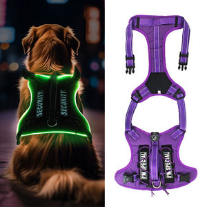 2025 nuevos productos para mascotas USB recargable LED luz arnés para mascotas ajustable reflectante Led intermitente arnés para perros - Product Image 1