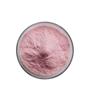 100% Pure Natural Água Solúvel Hawthorn Suco Em Pó Premium Food Grade Fruto Extrato com Vitamina Ativa Hawthorn Suco Em Pó - Product Image 1