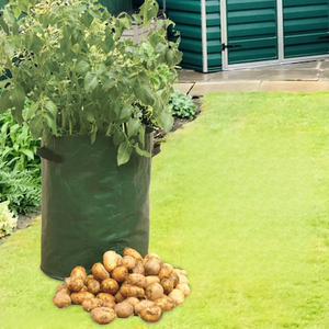 Set di 3 Sacchi per Coltivazione Patate in Plastica da 10 Galloni con Manici Laterali per Pomodori, Fragole e Altri Giardinaggio - Product Image 3