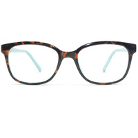 Lunettes optiques unisexes transparentes vertes, bleues, jaunes, à imprimé animal, monture intégrale ovale, confortables, légères, pour adultes