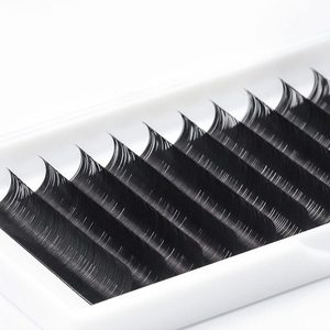 Volume Eyelash Extension <strong>C</strong>/D <strong>Curl</strong> Hybrid Handmade Synthetic Hair Natural Soft False Eyelashes Wholesale 0.07mm 7-30mm OEM - Product Image 4