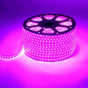  安い5050smd 60leds/メートル4.8ワットピンクledストリップライトのための天井の装飾