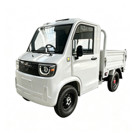 Nouvelle camionnette électrique à énergie renouvelable, zéro émission, 3000W, longue portée 120 km, pour utilisation en ranch