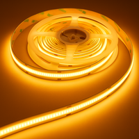 Guirlandes lumineuses 8MM 12V DC 480 LED IP20 WS2811 sur PCB, 5 mètres, découpables, certifiées ETL, contrôlables par USB/WiFi, pour extérieur, à intensité variable, en polycarbonate