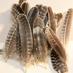 Plumes de faisan Ringnick colorées pour embellissement de coiffure de mariée, plumes de cérémonie à tenir à <span class=keywords><strong>la</strong></span> main, accessoires pour demoiselles d'honneur - Product Image 6