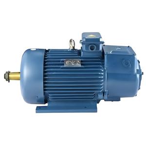 <strong>High</strong>-Torque IE4 Super Premium Efficiency Three-Phase Induction <strong>Motor</strong> For Industrial Pumps - Product Image 3