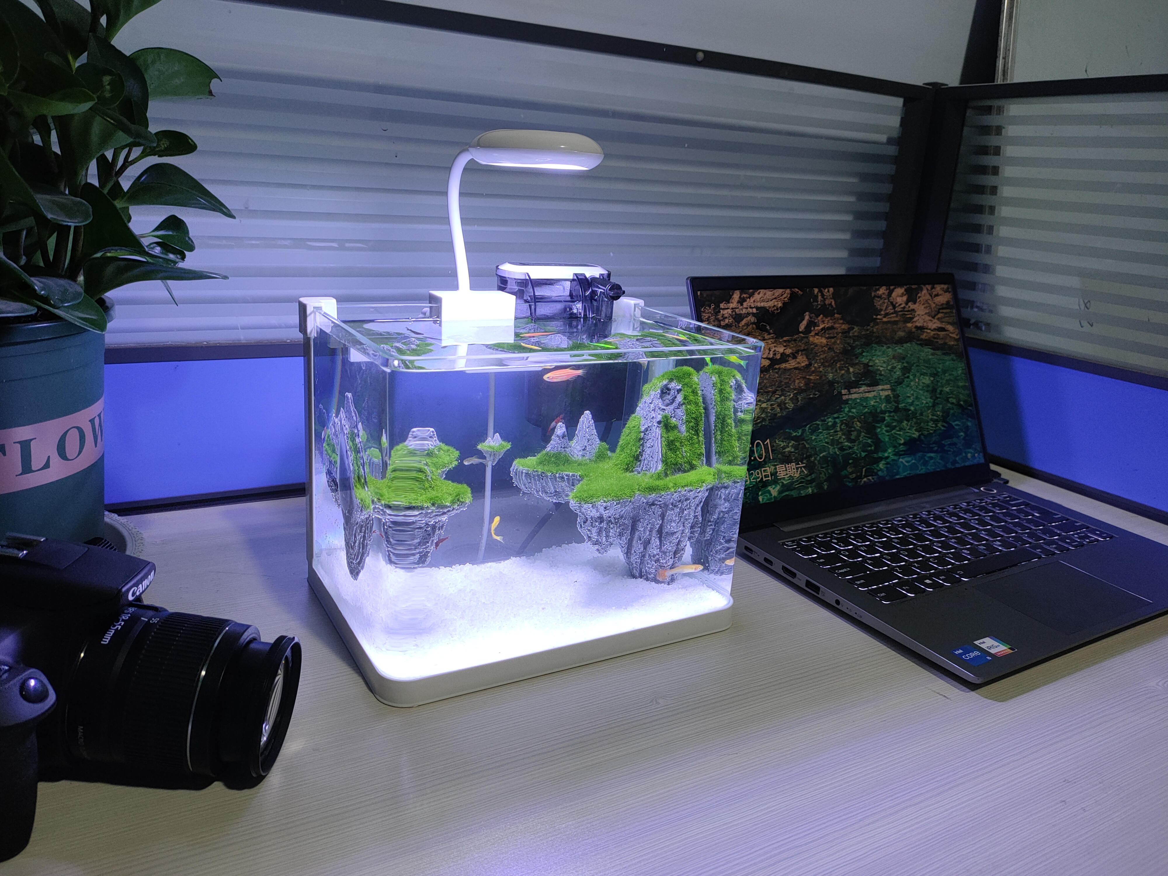 水族館小型水槽低鉄超白色ガラス浮島| Alibaba.com