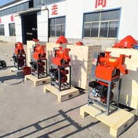 Machine à décortiquer le riz multi-carburant à haute productivité, facile à utiliser, avec logo personnalisé, capacité de 130-500 kg/h, pour agents africains, vente en gros
