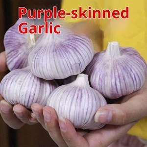 Ajo morado fresco 2,50 kg 2024 Temporada Ahumado Rodajas Grado una caja a granel de verduras Venta al por mayor Red Farmer's Own - Product Image 2