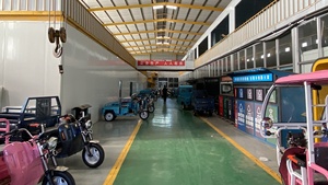 Triciclo Eléctrico Directo de Fábrica en China, Venta al por Mayor, Triciclo Eléctrico de <span class=keywords><strong>3</strong></span> Ruedas para Adultos, Personalizable - Product Image 4