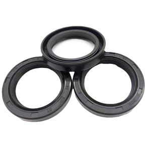 Fkm NBR Bộ Xương con dấu dầu TC con dấu chào đón để tùy chỉnh - Product Image 3