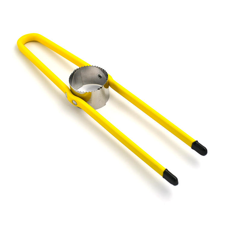 สีเหลือง