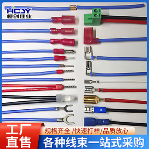 Lug <b>Terminals</b> 6.3mm Pure Copper 2-Core 1P <b>Battery</b> Ground Wire Connection Cable - Product Image 4