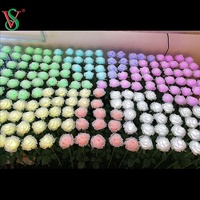 Approvisionnement direct d'usine LED fleur artificielle Rose lumière pour la décoration de paysage extérieur