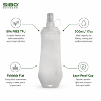 Bouteille d'eau pliable souple en TPU 500 ml sans BPA, gourde d'hydratation anti-fuite pour la course à pied, la randonnée et le cyclisme