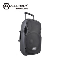 Enceinte active portable rechargeable Accuracy Pro Audio CSL15BZ-V1BP-BT 15 pouces 50W avec radio FM
