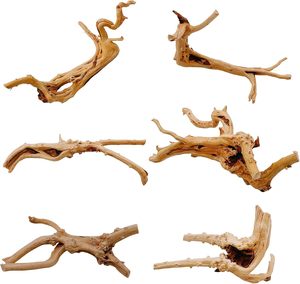 Bois flotté poreux de Cholla PKY de haute qualité, squelette de <span class=keywords><strong>cactus</strong></span> pour l'élevage de crevettes, décoration d'aquarium et biofilm - Product Image 5
