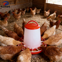 Mangeoires à poulet, mangeoires pour poulets de chair, abreuvoirs portables manuels et automatiques suspendus pour poules pondeuses