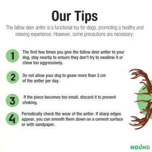 Private label Best Quality <b>Removes</b> <b>Plaque</b> And Tartar Natural Fallow Deer Antler <b>Dog</b> Chew - Size S Pet Chew Toys customization - Product Image 6