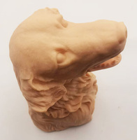 Gelsonlab HSBM-535 modèle de prélèvement sanguin et de perfusion de veine jugulaire canine