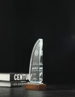 Champion Crystal Trophées en bois massif Médailles Plaques pour employés exceptionnels Ventes personnalisées Honorant les contributions