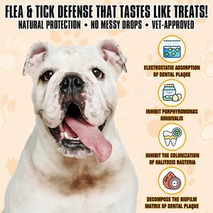 ممضغ أسنان طبيعي للكلاب من شركة تصنيع المعدات الأصلية نكهة الدجاج الرعاية الصحية للحيوانات الأليفة والمكملات الغذائية-عد بالجملة العناية بالفم - Product Image 2