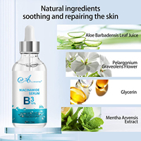 Sérum pour le visage à la niacinamide 10% hydratant OEM, aloe vera, anti-âge, acné, marque privée, liquide naturel, sérum éclaircissant à la niacinamide