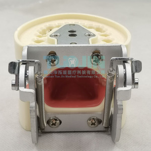 Gigi Model Mulut dengan 32 <span class=keywords><strong>Typodont</strong></span> Dilepas Sekrup-In Demonstrasi Gigi Lembut Produk Peralatan Dokter Gigi - Product Image 5