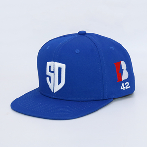 Personalizado bordado nuevo para hombre ala plana Bill Flatbill Snap Back Snapback Gorras ajustadas gorras sombreros para hombres Hombre con logotipo - Product Image 1