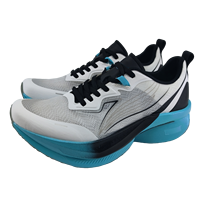 Chaussures de course à semelle en carbone pour hommes, respirantes, professionnelles, pour l'entraînement au marathon, légères, chaussures de sport de compétition, personnalisées