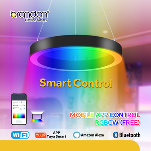 4ft Modern Tasarım Tarzı Asılı Oval Dairesel Lens Difüzörlü Halka Avize LED Lineer Tavan Lambası Ofis Aydınlatması için - Product Image 5