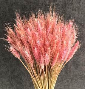 Guansen Boho Decor décoration <span class=keywords><strong>de</strong></span> <span class=keywords><strong>la</strong></span> maison bouquet séché blé belle orge séchée naturelle séchée pour arrangement <span class=keywords><strong>de</strong></span> fleurs - Product Image 3