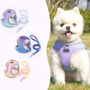 Néon couleur Xs petit animal de compagnie maille <span class=keywords><strong>harnais</strong></span> laisse ensemble minuscule sangle réfléchissante réversible <span class=keywords><strong>chien</strong></span> gilet vêtements chiot Teddy <span class=keywords><strong>chien</strong></span> <span class=keywords><strong>harnais</strong></span> - Product Image 5