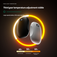 Chauffe-mains rechargeable par USB avec power bank Réutilisable avec affichage de la température Chauffe-mains électrique power bank