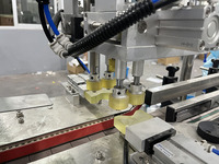 Machine automatique de remplissage et de bouchage de bouteilles de shampoing liquide gel détergent savon javel désinfectant pour les mains