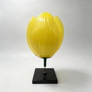 Modelo Educativo de Flor de Tulipán 50127.04 - Product Image 2