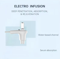 Système professionnel de nettoyage en profondeur du visage et d'électro-infusion avec exfoliation par aspiration, pénétration du sérum et technologie DEP