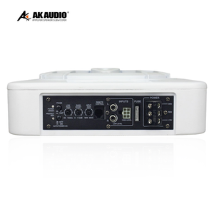 Subwoofer <span class=keywords><strong>de</strong></span> aluminio ultrafino <span class=keywords><strong>de</strong></span> 10 pulgadas bajo el asiento subwoofer delgado activo para coche Subwoofer <span class=keywords><strong>de</strong></span> bajos <span class=keywords><strong>de</strong></span> fábrica más nuevo <span class=keywords><strong>de</strong></span> la competencia <span class=keywords><strong>de</strong></span> la fábrica <span class=keywords><strong>de</strong></span> - Product Image 5