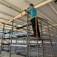 Équipement d'alimentation centralisé, conception modulaire, cage d'élevage de poulets pour une utilisation professionnelle dans les élevages avicoles