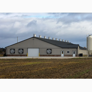 पॉल्ट्री हाउस उपयोग के लिए प्रीफैब्रिकेटेड मॉड्यूलर गैल्वेनाइज्ड लाइट गेज स्टील फ्रेम निर्माण - Product Image 2