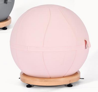 Ballon d'exercice souple en PVC, écologique et durable, avec housse pour le yoga