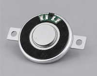 Haut-parleur dynamique à cadre métallique de 30 mm, 8 ohms, 0,5 W, avec trous de montage, conforme à la norme RoHS, modèle OEM SP30