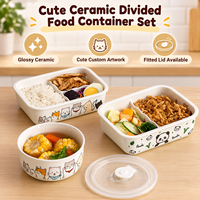 Boîte à bento en céramique à compartiments avec couvercle transparent hermétique, motif personnalisé, boîte cadeau, boîte à lunch en céramique à compartiments, design mignon de dessin animé