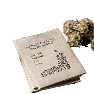 Tùy Chỉnh Thân Thiện Với Môi Cổ Điển Giấy Tin Nhắn Thiệp Chúc Mừng Thẻ Cmyk In Ấn Cho Đám Cưới Cá Nhân Khuyến Mại Nguồn Cung Cấp Bên - Product Image 2