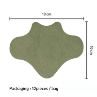 Nouveau Patch Herbal pour le Bas du Dos : Soulagement Efficace des Douleurs Lombaires – Meilleur Traitement