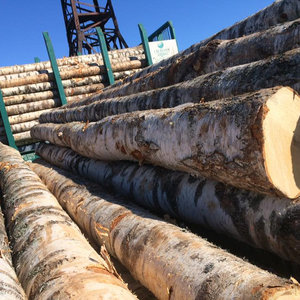 Madera de Azobé Africana, Madera Dura de Grado de Exportación, Troncos Redondos de 60 cm de Diámetro y 4 m de Longitud, Origen del Oeste de África - Product Image 3
