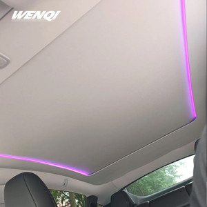Tenda Parasole Motorizzata per Tetto Panoramico Tesla Model 3 Y e BYD Seal - Protezione Solare Universale per Veicoli Elettrici - Vendita all'Ingrosso - Product Image 1