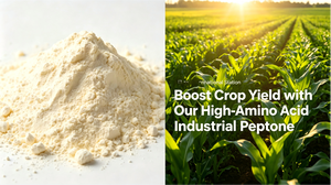 Fertilizante en Polvo <span class=keywords><strong>de</strong></span> Proteína Industrial <span class=keywords><strong>de</strong></span> Grado Alimenticio, Bolsa <span class=keywords><strong>de</strong></span> 25 kg, Fuente <span class=keywords><strong>de</strong></span> Piel Bovina, Nutrición Orgánica para el Suelo para Todos los <span class=keywords><strong>Cultivos</strong></span> - Product Image 2