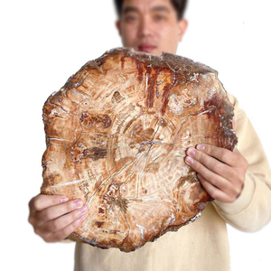 Grande plaque de cristal fossile brun naturel écologique de 30-40 cm, polie, pour la décoration artistique et les objets de collection - Product Image 6
